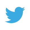 logo actuel twitter